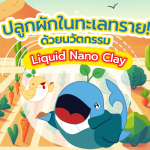 ปลูกผักในทะเลทราย! ด้วยนวัตกรรม Liquid Nano Clay, Whale Energy Station