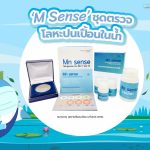 &lsquo;M Sense&rsquo; ชุดตรวจโลหะปนเปื้อนในน้ำ, Whale Energy Station