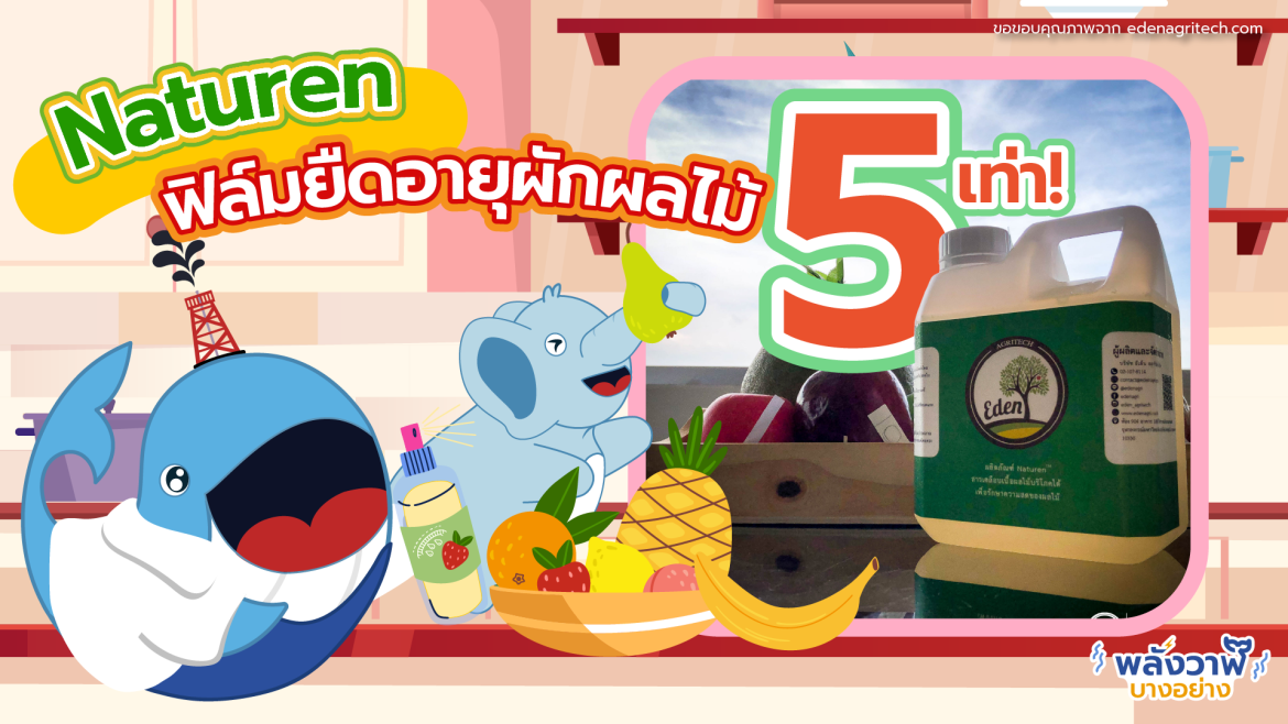 Naturen ฟิล์มยืดอายุผักผลไม้ 5 เท่า!