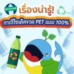 เรื่องน่ารู้! วิธีรีไซเคิลขวด PET แบบ 100%, Whale Energy Station