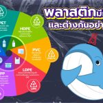 พลาสติกมีกี่ประเภท และต่างกันอย่างไรนะ?, Whale Energy Station