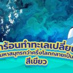 โลกร้อนทำทะเลเปลี่ยนสี! มหาสมุทรกว่าครึ่งโลกกลายเป็นสีเขียว, Whale Energy Station