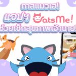 ทาสแมวเฮ! แอปฯ “CatsMe!” ช่วยเช็กสุขภาพเจ้านาย!, Whale Energy Station