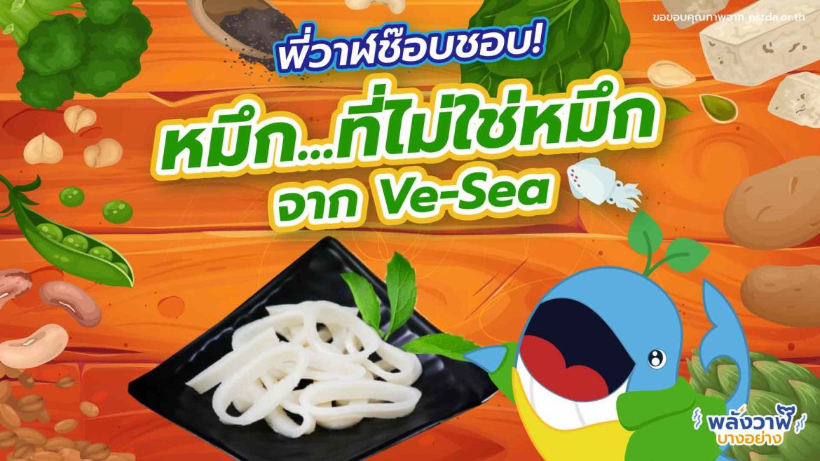 พี่วาฬช๊อบชอบ! หมึก…ที่ไม่ใช่หมึก จาก Ve-Sea