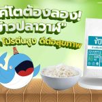 สายคีโตต้องลอง! “ข้าวปลาวาฬ” แคลต่ำ โปรตีนสูง ดีต่อสุขภาพ, Whale Energy Station