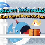 ไขข้อข้องใจ! แช่แบตฯ ในช่องแช่แข็ง ยืดอายุการใช้งานจริงไหม?, Whale Energy Station