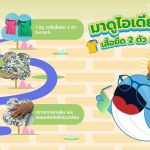 มาดูไอเดียสุดเจ๋ง! เสื้อยืด 2 ตัว = อิฐ 1 ก้อน, Whale Energy Station