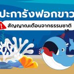 ปะการังฟอกขาว สัญญาณเตือนจากธรรมชาติ, Whale Energy Station