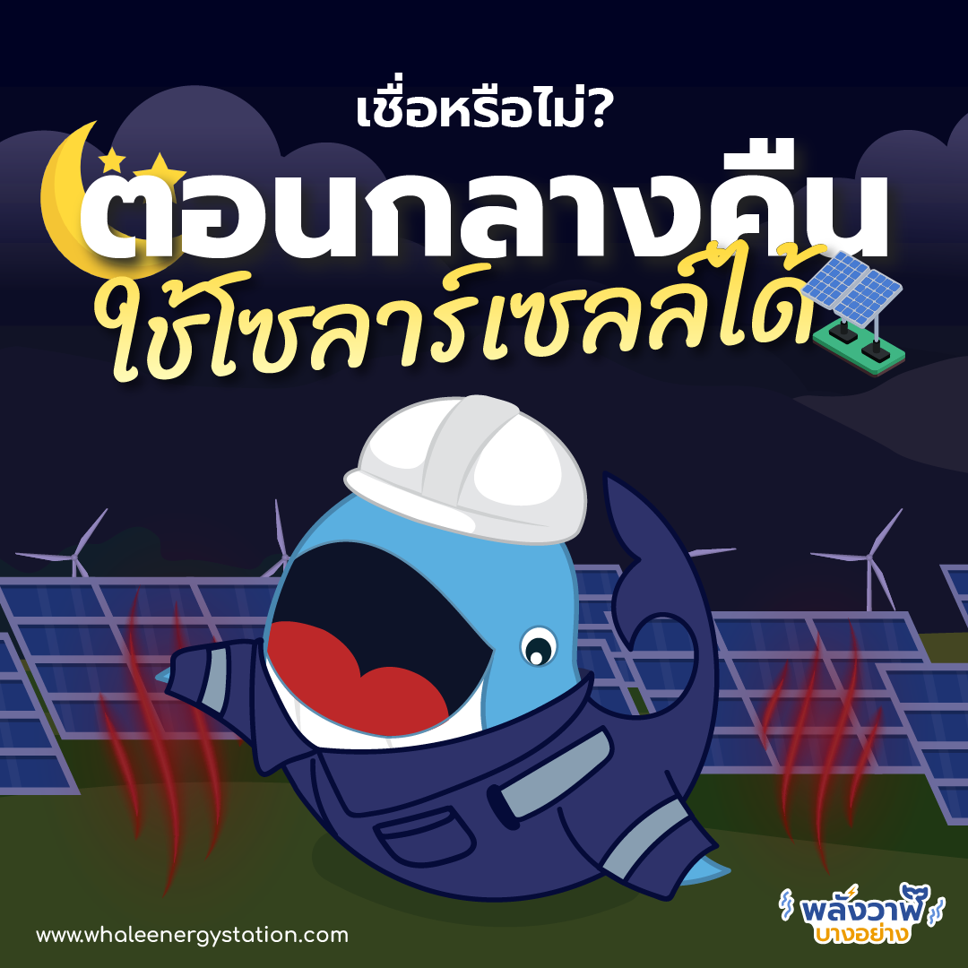 เชื่อหรือไม่? กลางคืนก็ใช้โซลาร์เซลล์ได้!, Whale Energy Station