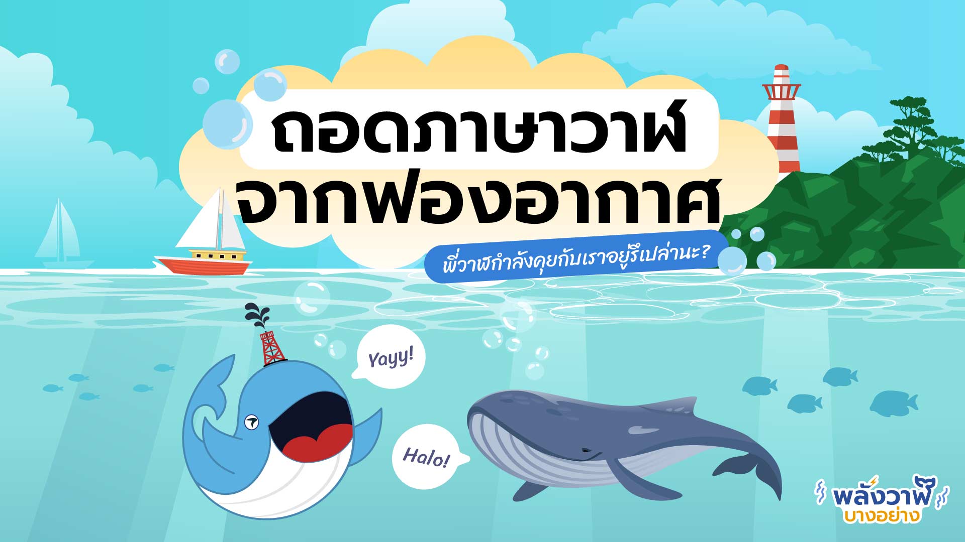 ถอดภาษาวาฬ จากฟองอากาศ พี่วาฬกำลังคุยกับเราอยู่รึเปล่านะ?, Whale Energy Station