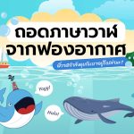 ถอดภาษาวาฬ จากฟองอากาศ พี่วาฬกำลังคุยกับเราอยู่รึเปล่านะ?, Whale Energy Station