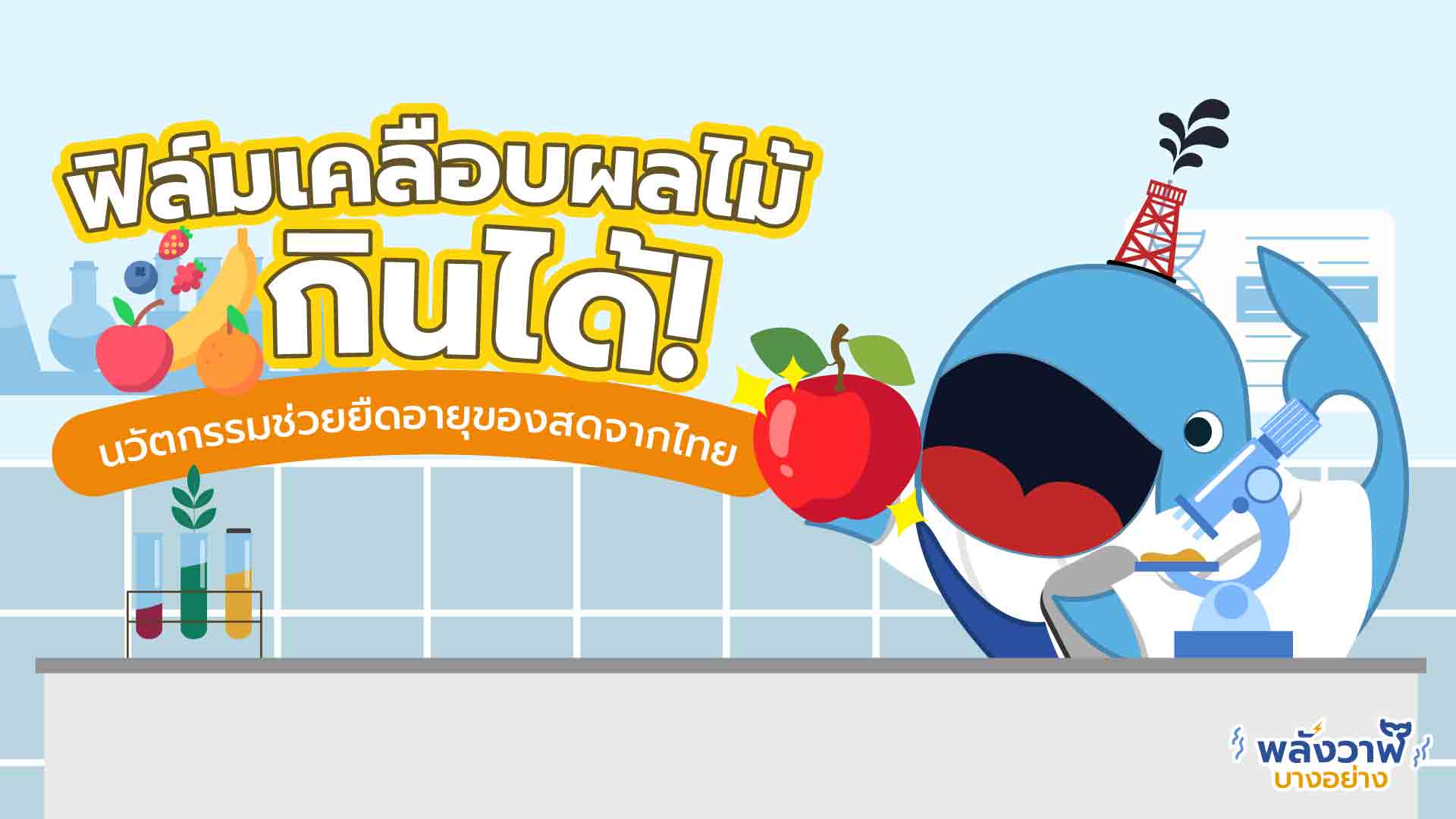 ฟิล์มเคลือบผลไม้กินได้ นวัตกรรมช่วยยืดอายุของสดจากไทย, Whale Energy Station