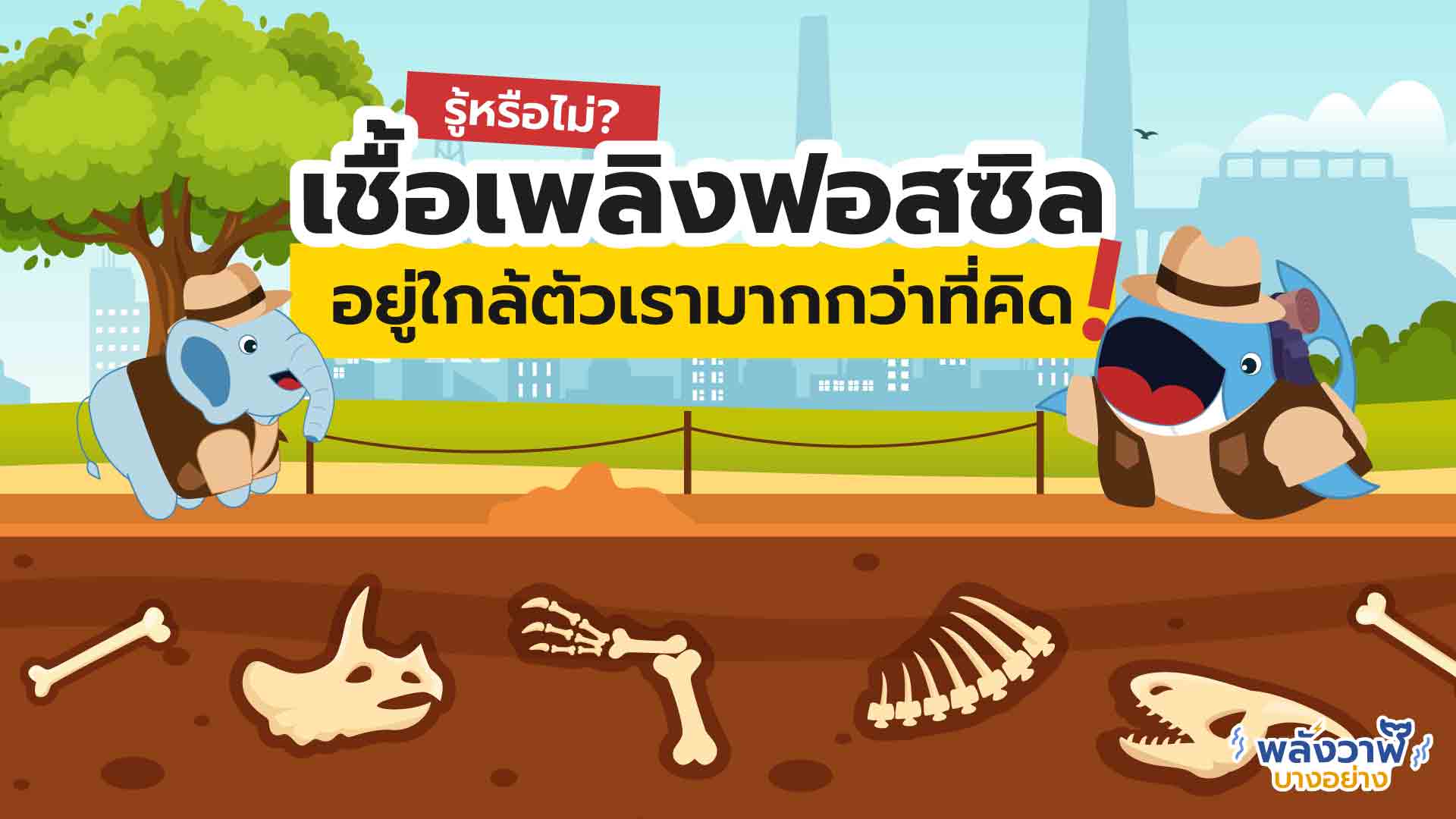 รู้หรือไม่? เชื้อเพลิงฟอสซิลอยู่รอบตัวเรามากกว่าที่คิด!, Whale Energy Station