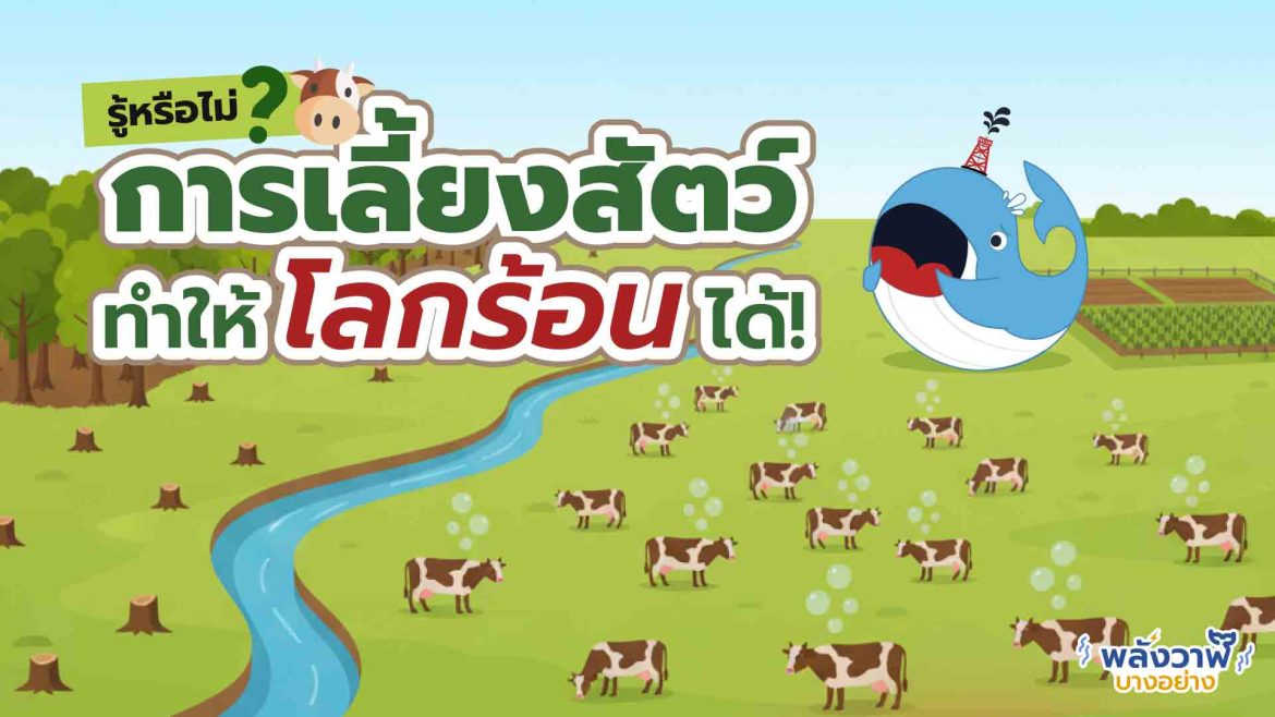 รู้หรือไม่ การเลี้ยงสัตว์ก็ทำให้โลกร้อนได้!