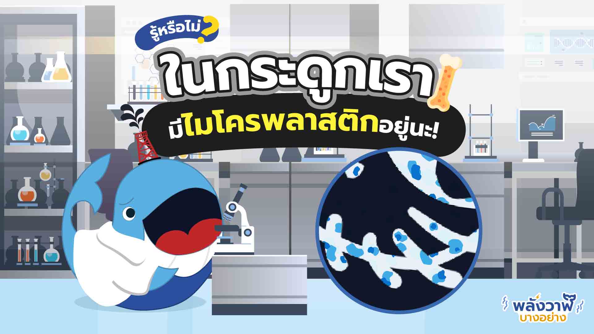 รู้หรือไม่? ในกระดูกเรา มีไมโครพลาสติกอยู่นะ!, Whale Energy Station