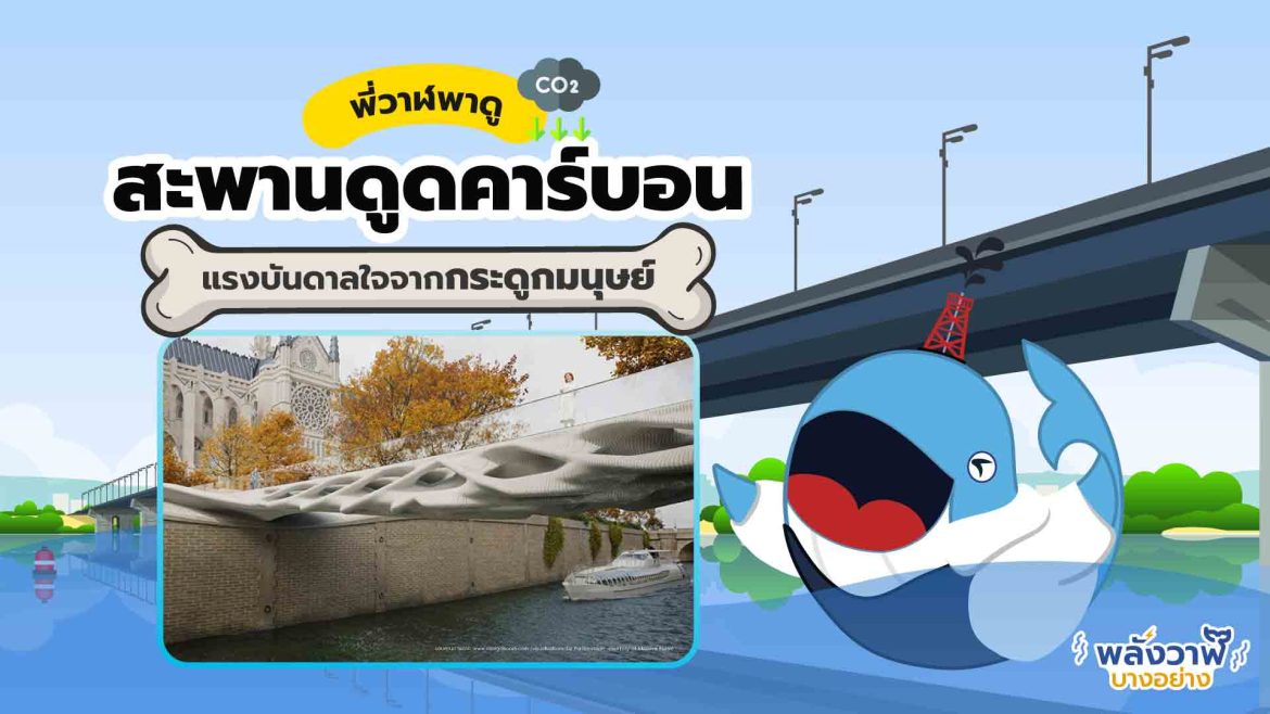 พี่วาฬพารู้จัก สะพานดูดคาร์บอน แรงบันดาลใจจากกระดูกมนุษย์!