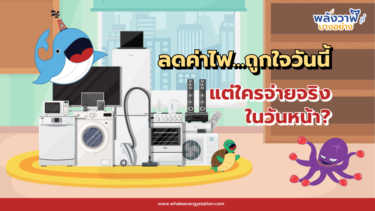 ลดค่าไฟ&hellip;ถูกใจวันนี้ แต่ใครจ่ายจริงในวันหน้า?, Whale Energy Station