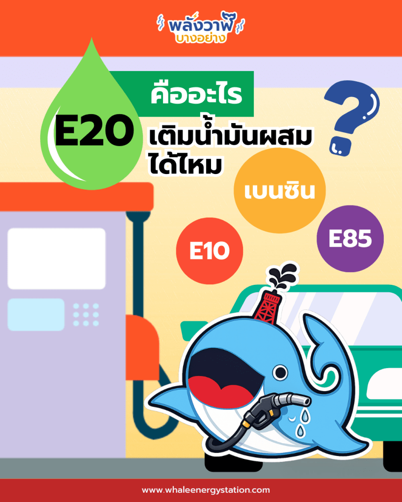 E20 คืออะไร? เติมผสมกับน้ำมันอื่นได้ไหม?, Whale Energy Station