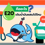 E20 คืออะไร? เติมผสมกับน้ำมันอื่นได้ไหม?, Whale Energy Station