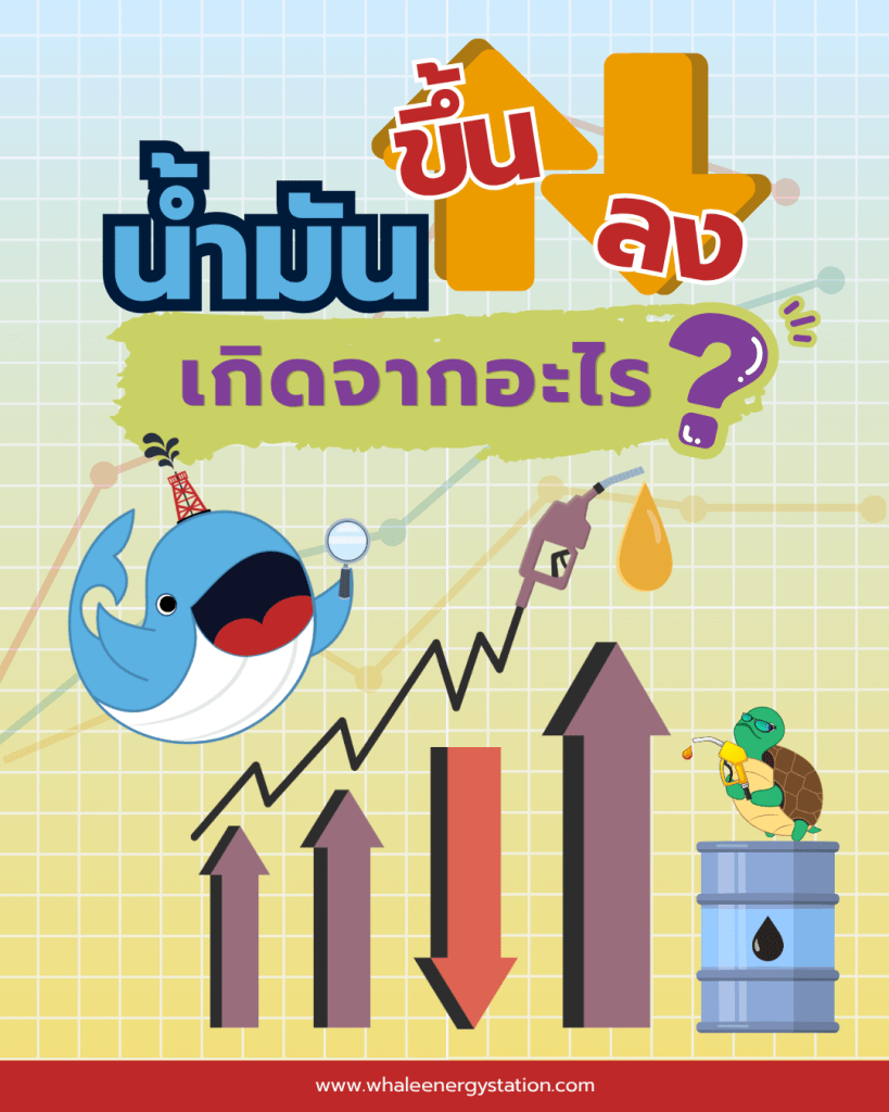 น้ำมันขึ้นๆ ลงๆ เกิดจากอะไร?, Whale Energy Station