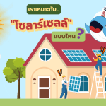เราเหมาะกับ “โซลาร์เซลล์” แบบไหน ?, Whale Energy Station