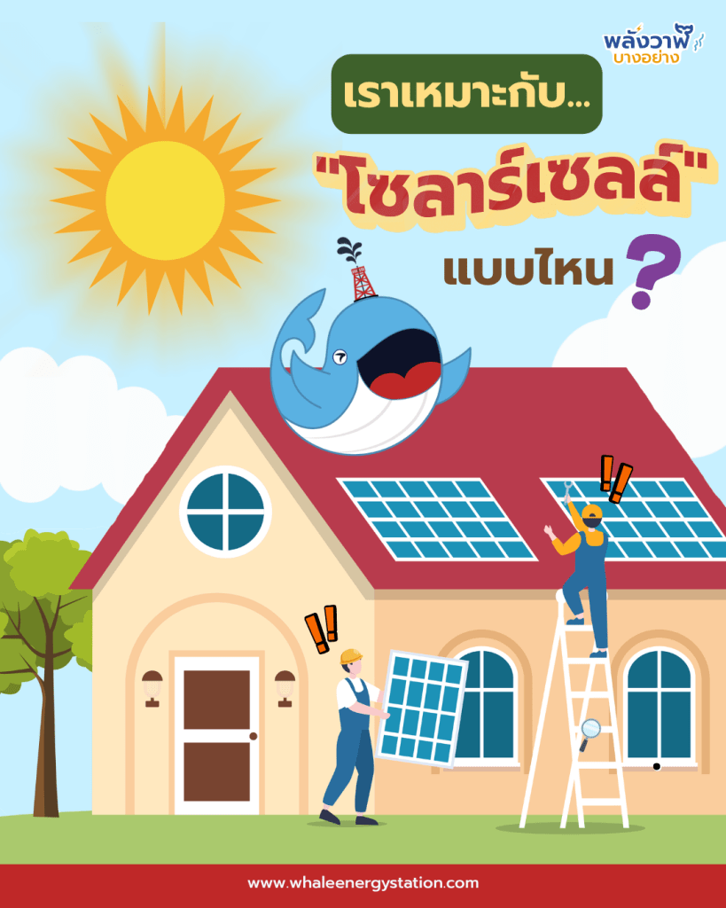 เราเหมาะกับ “โซลาร์เซลล์” แบบไหน ?, Whale Energy Station