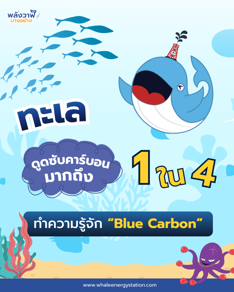 ทะเล ดูดซับคาร์บอนไว้มากถึง 1 ใน 4, Whale Energy Station