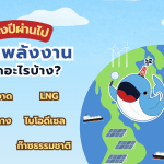 ครึ่งปี 2026 ผ่านไป โลกพลังงานเกิดอะไรขึ้นบ้าง?, Whale Energy Station