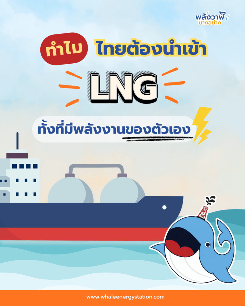 ทำไมไทยต้องนำเข้า LNG ทั้งที่มีพลังงานของตัวเอง?, Whale Energy Station