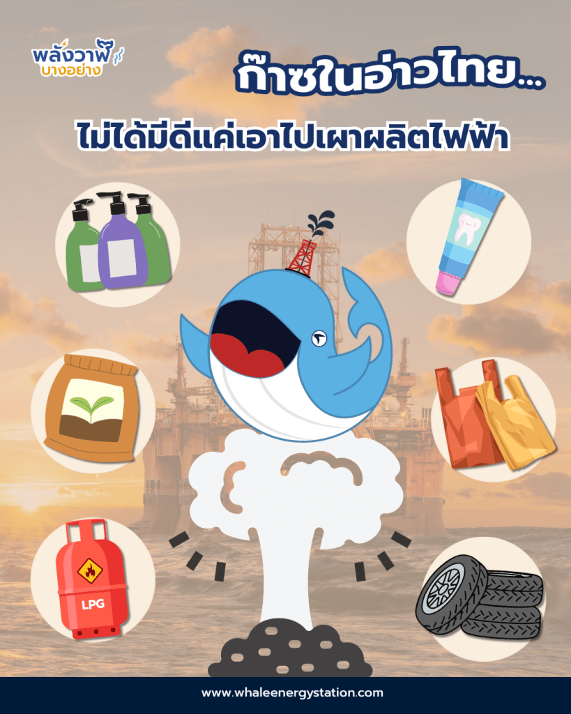 ก๊าซในอ่าวไทย&hellip;ไม่ได้มีดีแค่เอาไปเผาผลิตไฟ, Whale Energy Station