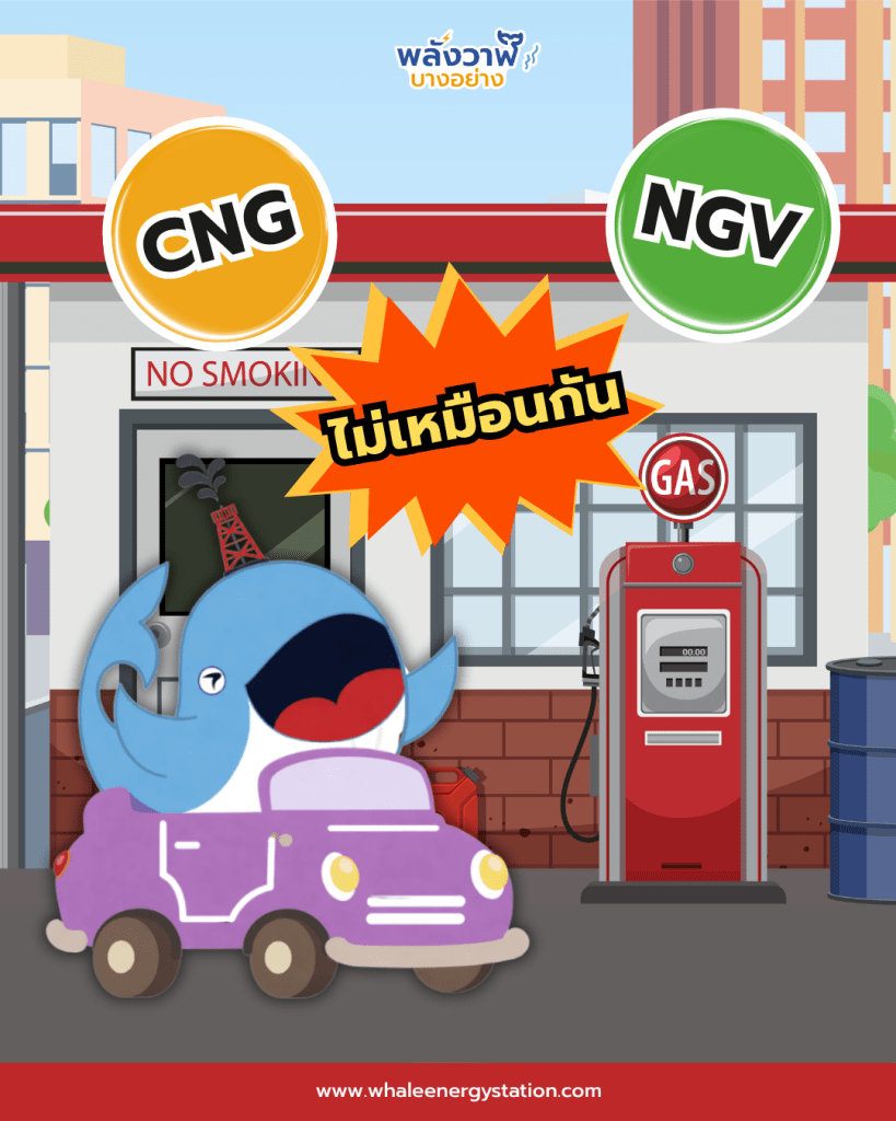 เข้าใจผิดมานาน! NGV ไม่ใช่ชื่อก๊าซ, Whale Energy Station