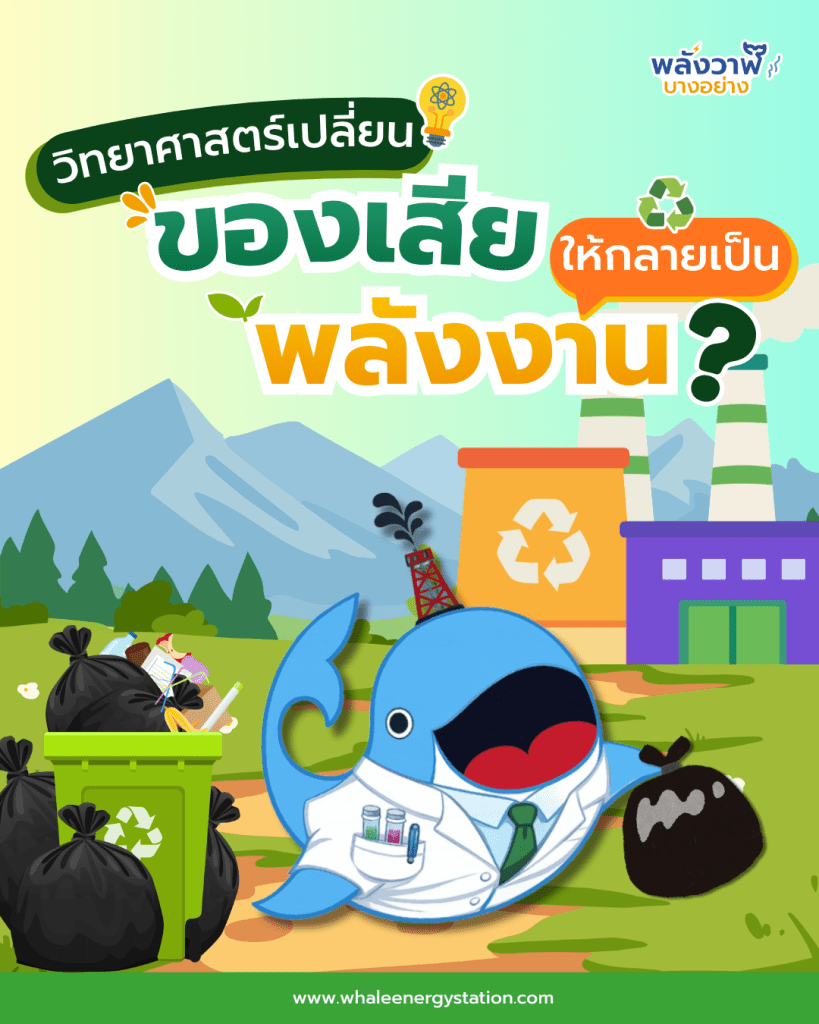 วิทยาศาสตร์เปลี่ยน “ของเสีย” ให้กลายเป็น “พลังงาน” ได้อย่างไร?, Whale Energy Station