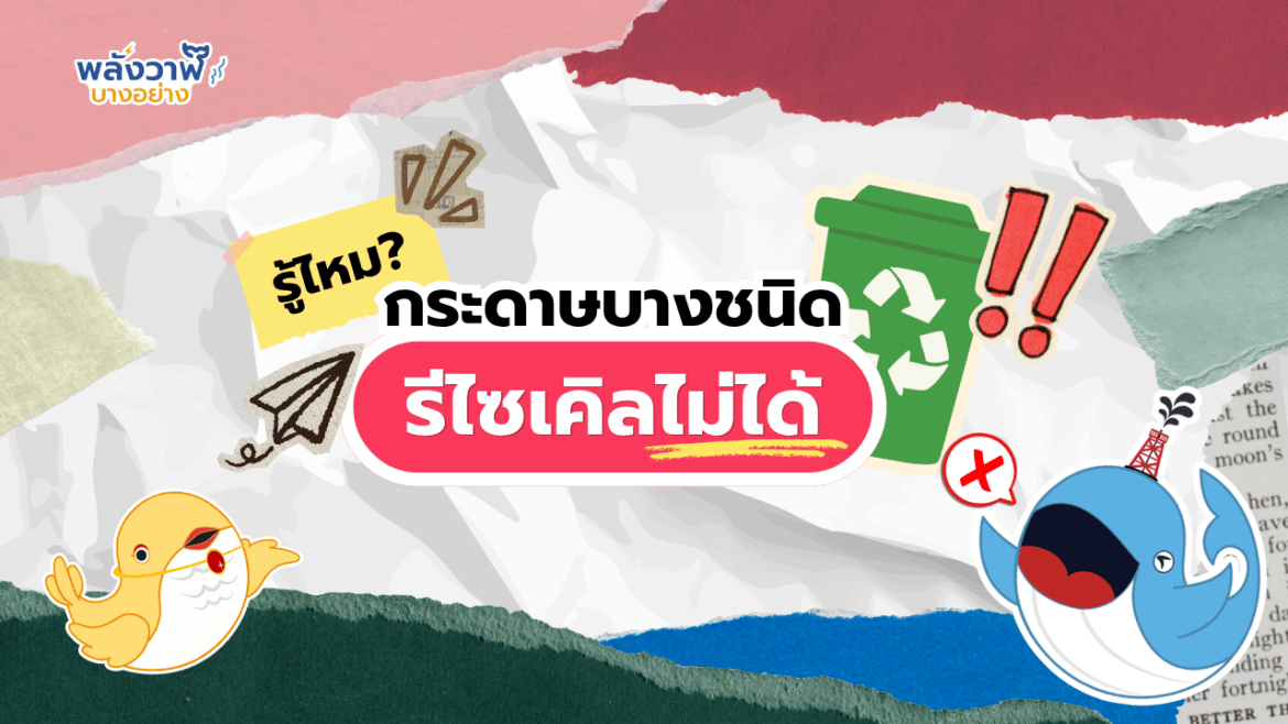 รู้ไหม? กระดาษบางชนิด “รีไซเคิลไม่ได้”