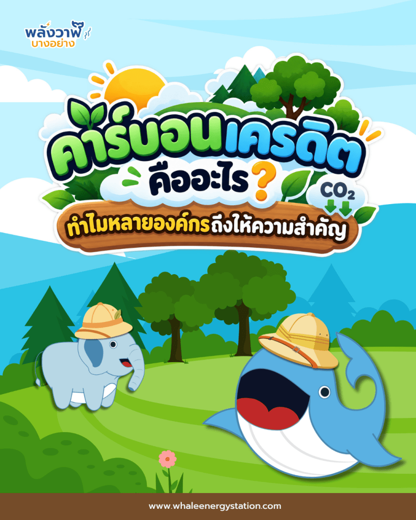 คาร์บอนเครดิต คืออะไร? ทำไมหลายองค์กรถึงให้ความสำคัญ, Whale Energy Station