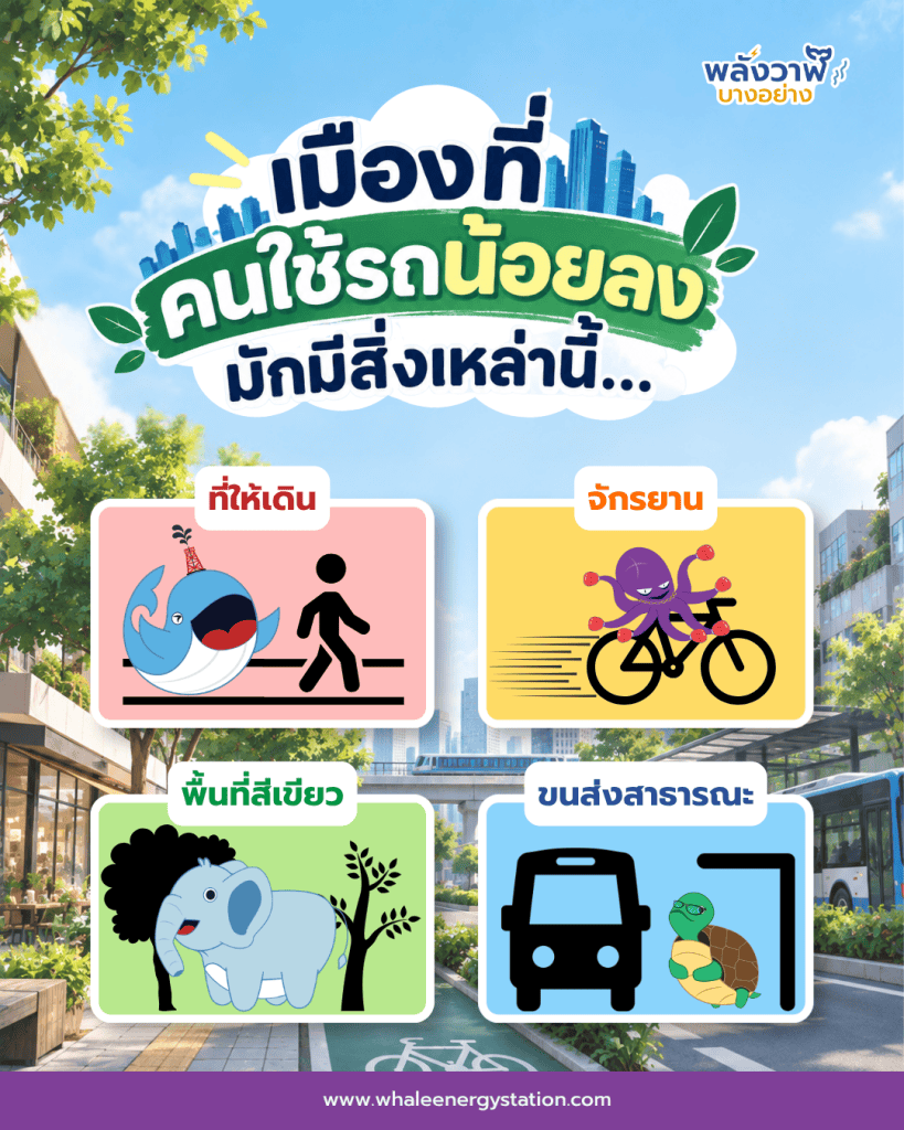 เมืองที่คนใช้รถน้อยลง มักมีสิ่งเหล่านี้…, Whale Energy Station