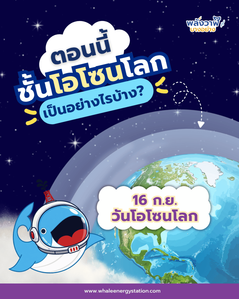 ตอนนี้ ชั้นโอโซนของโลกเราเป็นอย่างไรบ้าง?, Whale Energy Station