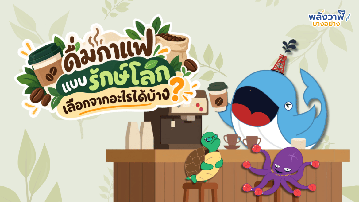 ดื่มกาแฟแบบรักษ์โลก เลือกจากอะไรได้บ้าง?