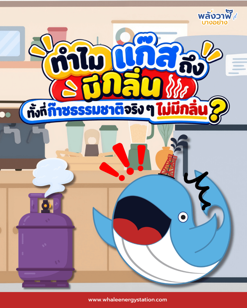 ทำไมแก๊สถึงมีกลิ่น ทั้งที่ก๊าซธรรมชาติจริง ๆ ไม่มีกลิ่น?, Whale Energy Station